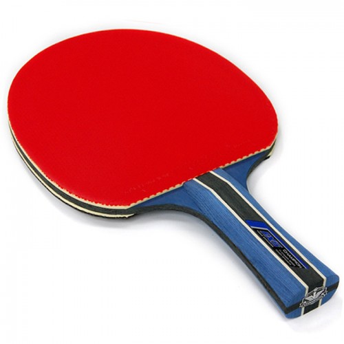 CHAMPION R 430 Table Tennis Bat