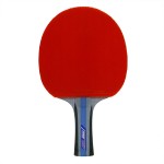 CHAMPION R 450 Table Tennis Bat