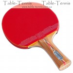 DAWEI Jingtan Carbon Table Tennis Bat