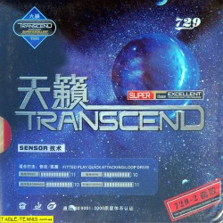729-2 Transcend
