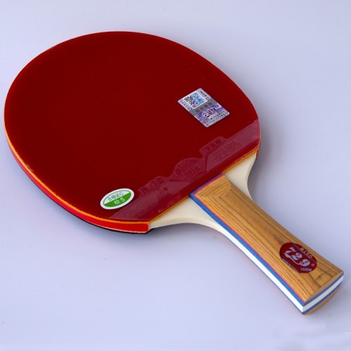 729 1020 - Table Tennis Paddle