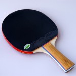 729 1020 - Table Tennis Paddle