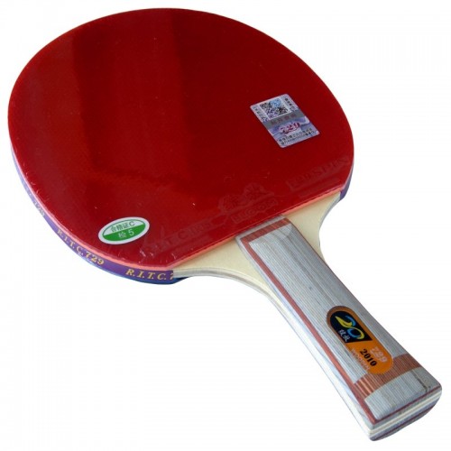 729 2010 Table Tennis Racket