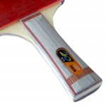 729 2010 Table Tennis Racket