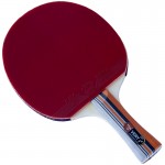 729 Very 2 Star Table Tennis Bat