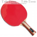 VT 501f - Table Tennis Bat