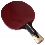 SANWEI Taiji 910 - ракетка для настільного тенісу
