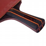 SANWEI Taiji 610 - ракетка для настільного тенісу