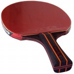 SANWEI Taiji 610 - ракетка для настільного тенісу