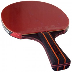 SANWEI Taiji 610 - ракетка для настільного тенісу