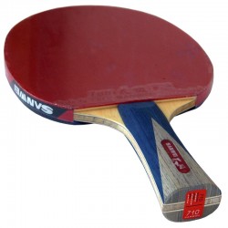 SANWEI Taiji 710 Carbon ракетка для настільного тенісу