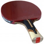 SANWEI Taiji 910 - ракетка для настільного тенісу