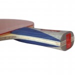 SANWEI Taiji 710 Carbon ракетка для настільного тенісу