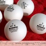 SANWEI 1 star ABS 40+ plastic balls New (1pcs.)