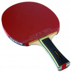 SANWEI Taiji 210 table tennis racket