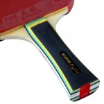 SANWEI Taiji 210 table tennis racket