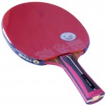 YINHE (Milky Way) 13B Carbon – ракетка для настольного тенниса