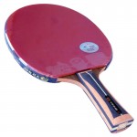 YINHE15B Arylate Carbon – ракетка для настольного тенниса