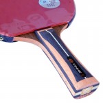 YINHE15B Arylate Carbon – ракетка для настольного тенниса