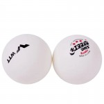 DHS DJ40+ WTT plastic balls (6pcs.)