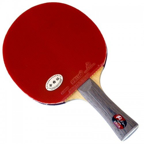 PALIO T009 Carbon – Table Tennis Bat