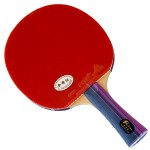 PALIO 3 Stars – Table Tennis Bat