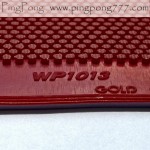 PALIO WP1013 – Medium Pips