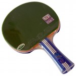 729 Golden Max 3 Stars Green – Table Tennis Bat