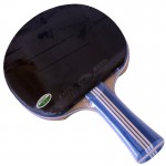 729 Golden Max 3 Stars Green – Table Tennis Bat