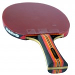 SANWEI Taiji 810 table tennis racket