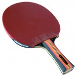 SANWEI Taiji 810 table tennis racket