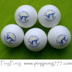 VT D40+ 3 stars Premium Plastic Balls (3 pcs.)